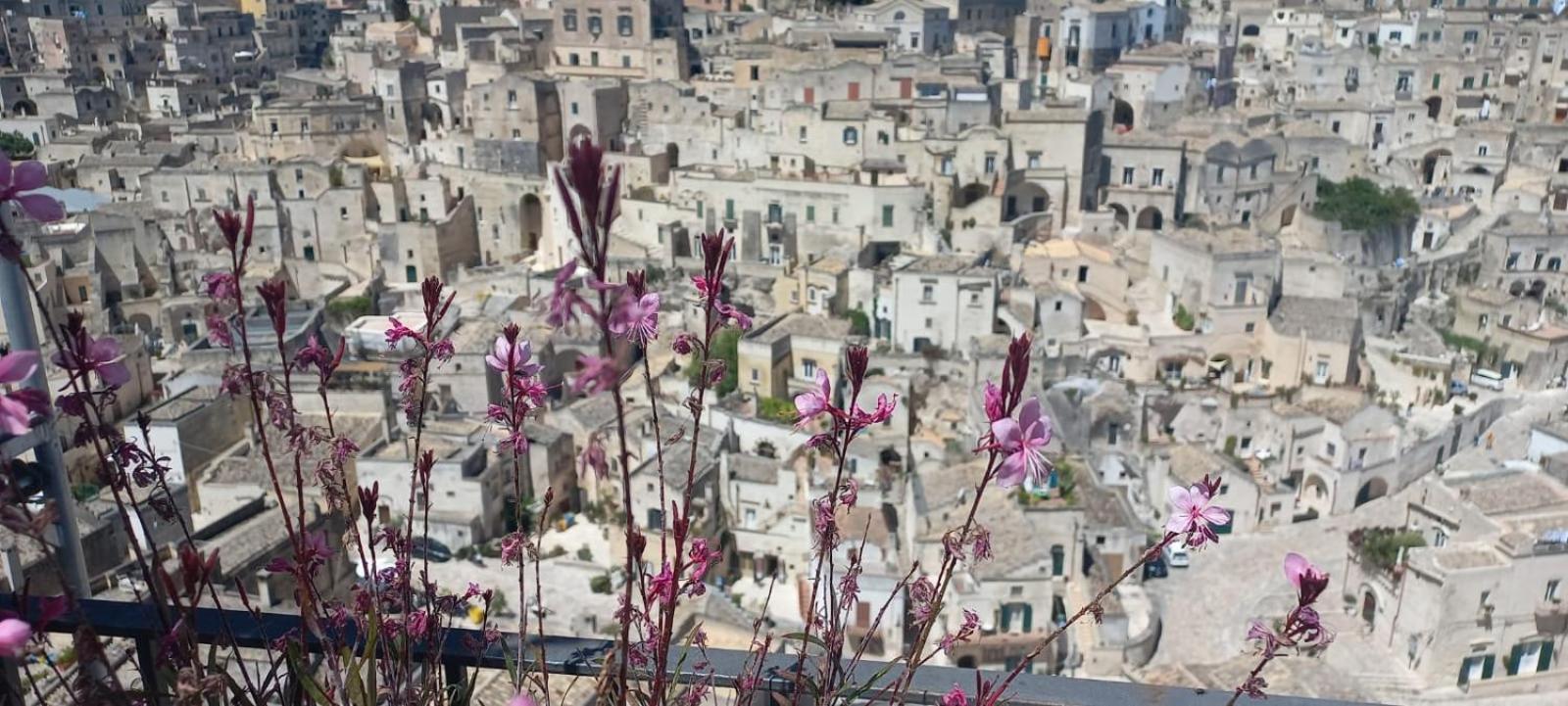 La Regina Historic House Leilighet Matera Eksteriør bilde